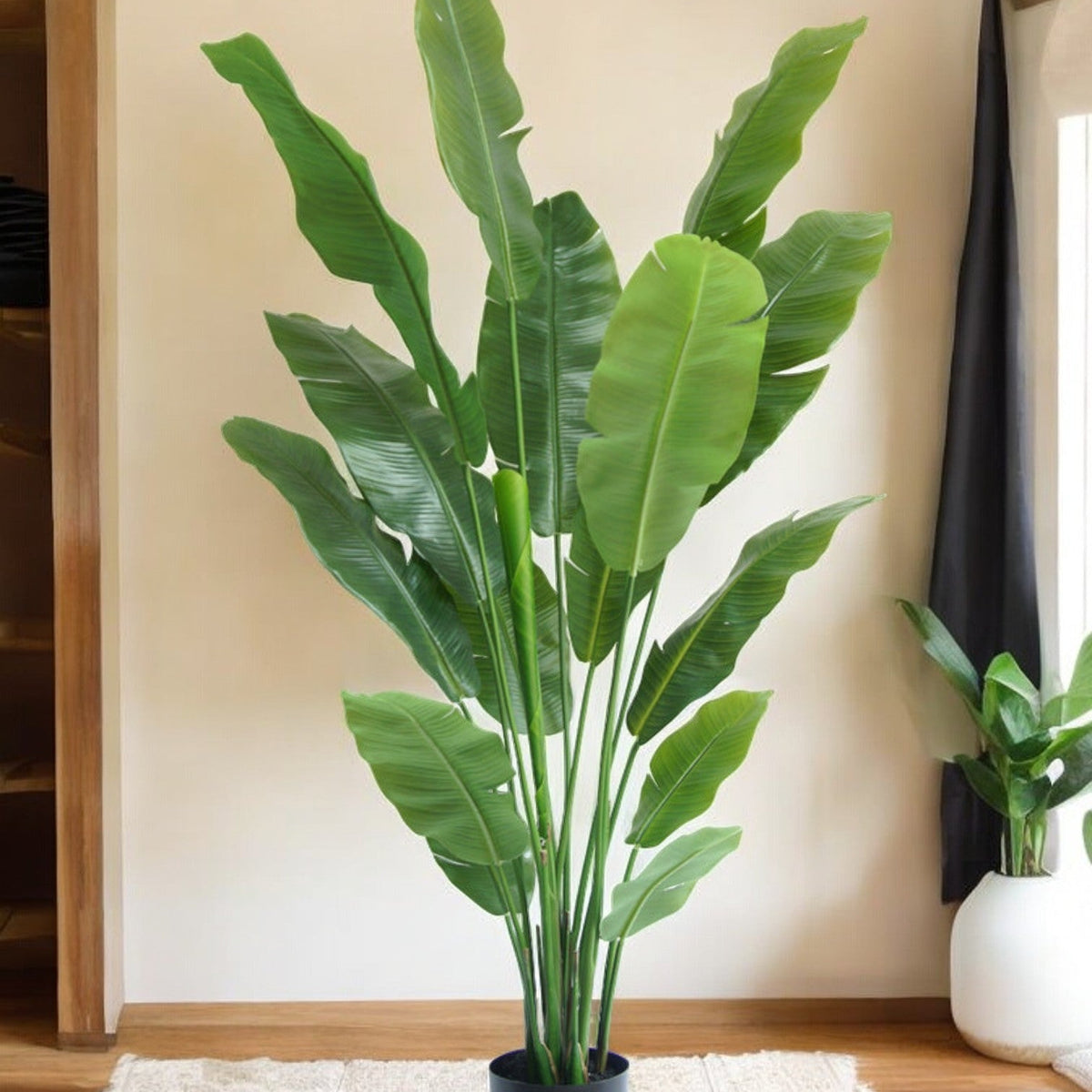 Sitemapcdatahttpsshudreferenzcomcastorama Plante Exterieurnull