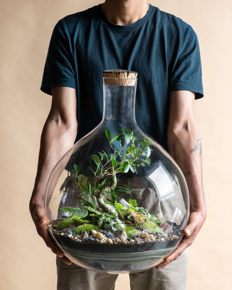 Fête des Pères : des plantes pour un papa green