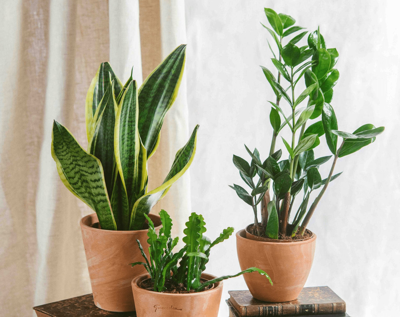 Soldes d'été - La Green Touch