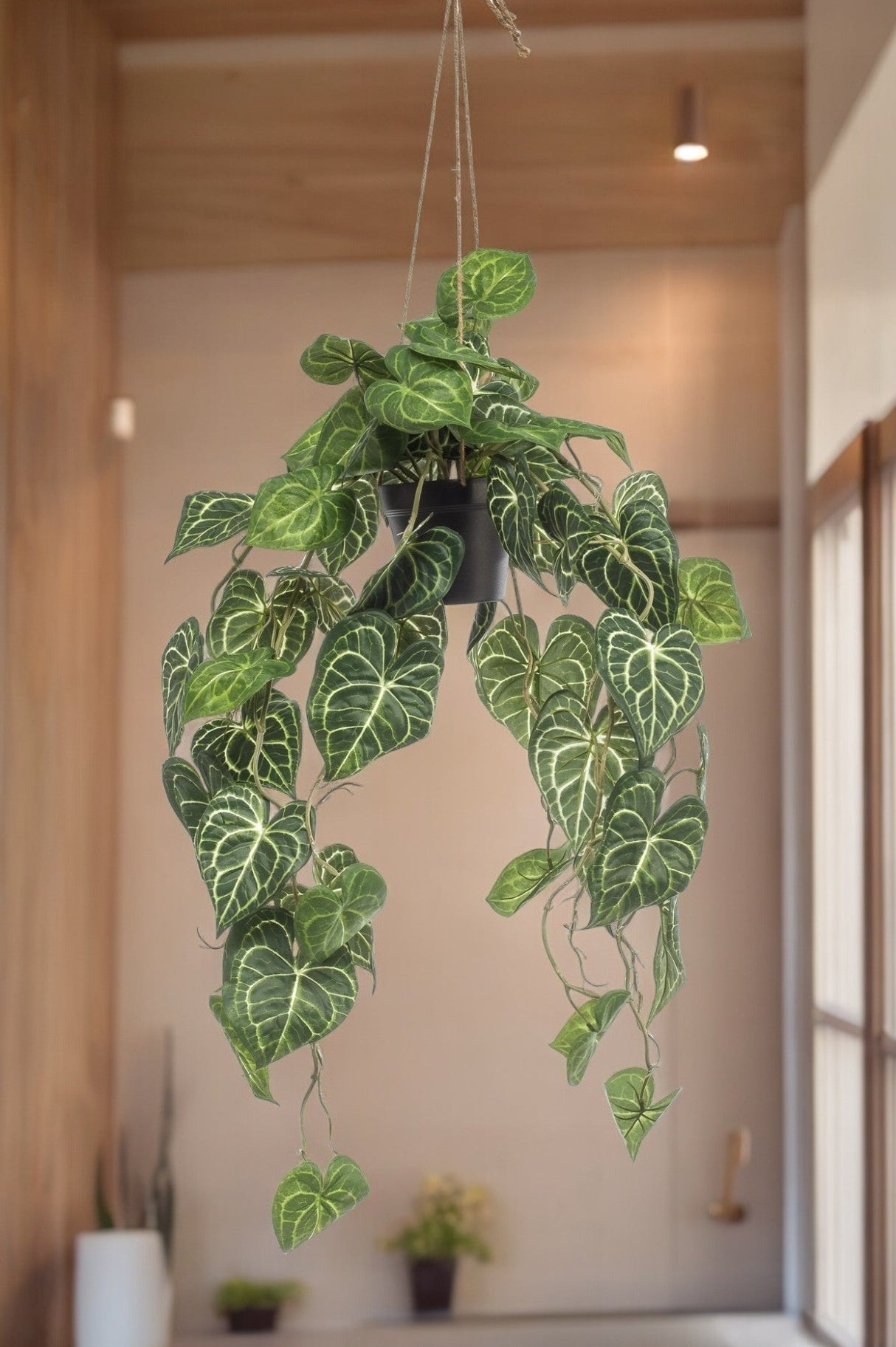 Livraison plante Anthurium Clarinervium plante artificielle - h80cm, Ø18cm