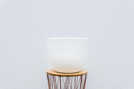 Livraison plante Pot Eggy Blanc 100cm