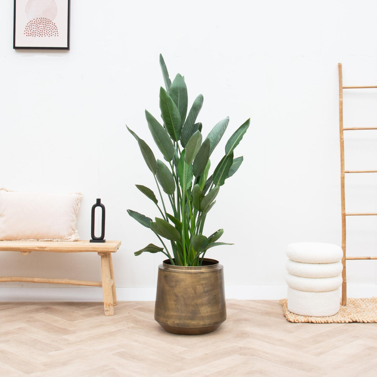 Livraison plante Pot Indigo Vintage Or 46 cm