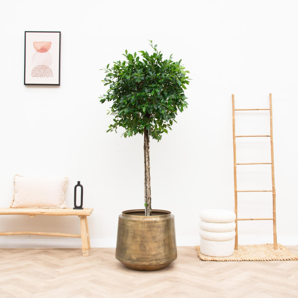 Livraison plante Pot Vintage Indigo Or 24 cm