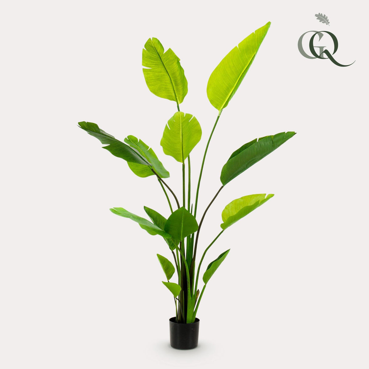 Livraison plante Strelitzia Nicolai plante artificielle - h150cm, Ø12cm