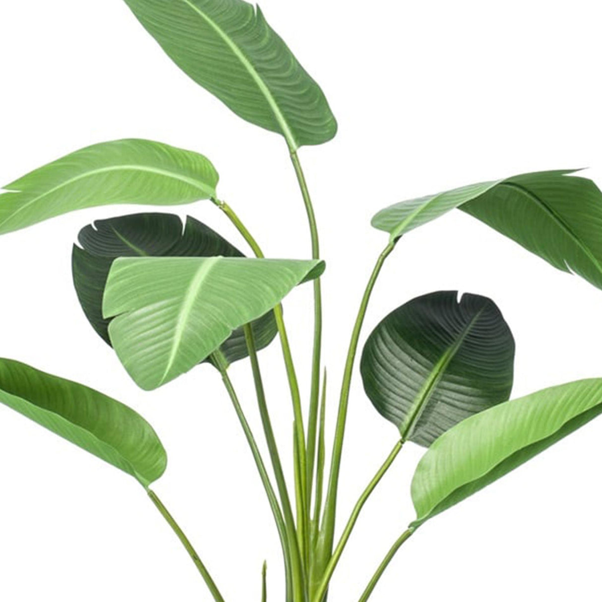 Künstliche Strelitzia im Topf H120cm