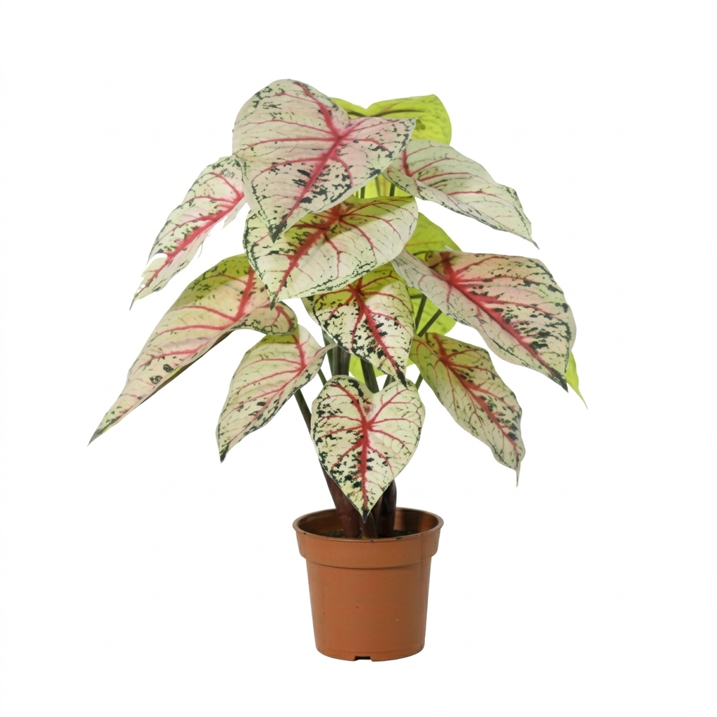 Künstliche Caladium weiß / rosa - 57 cm