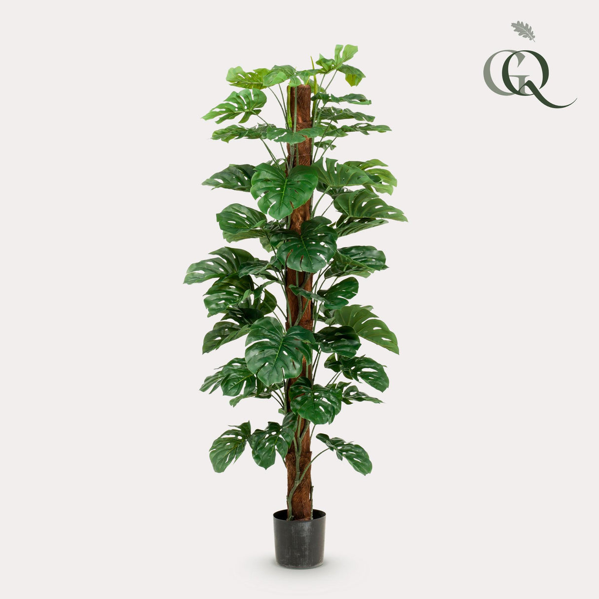Künstliche Monstera deliciosa H180cm