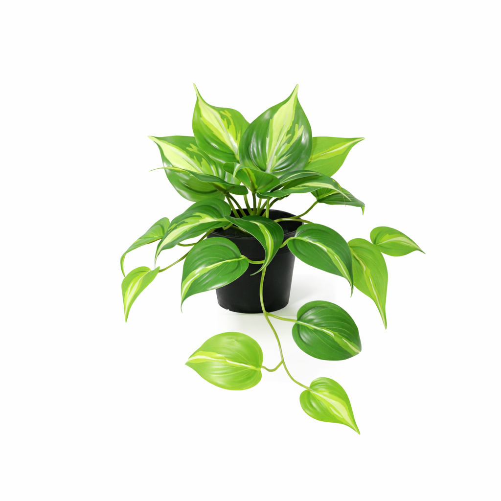 Epipremnum Variegata plante artificielle