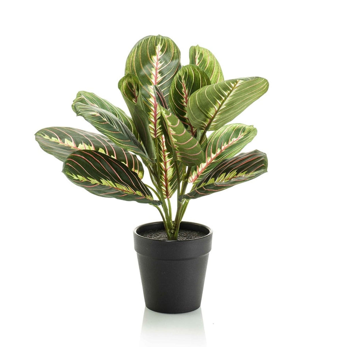 Künstliche Maranta im Topf H30cm