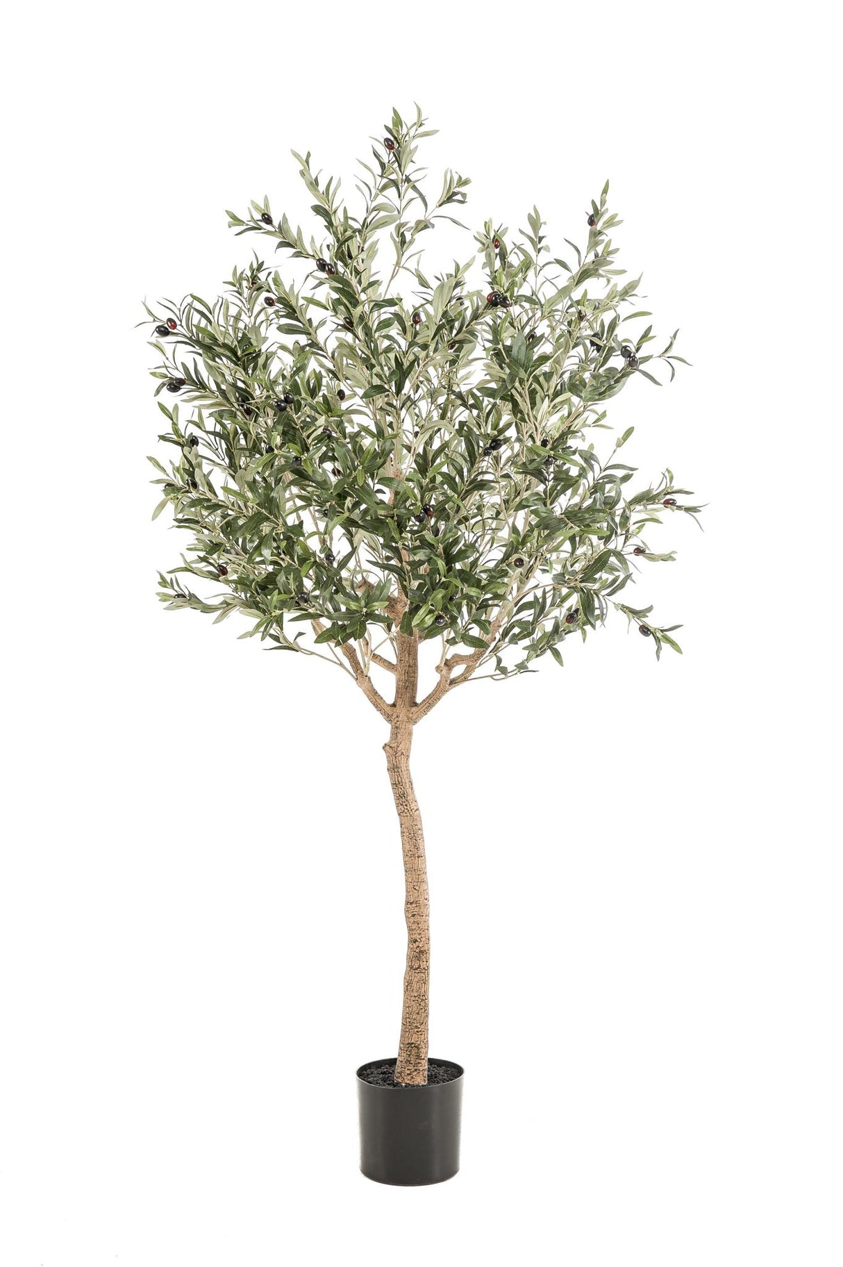 Olivier dinterieur plante artificielle