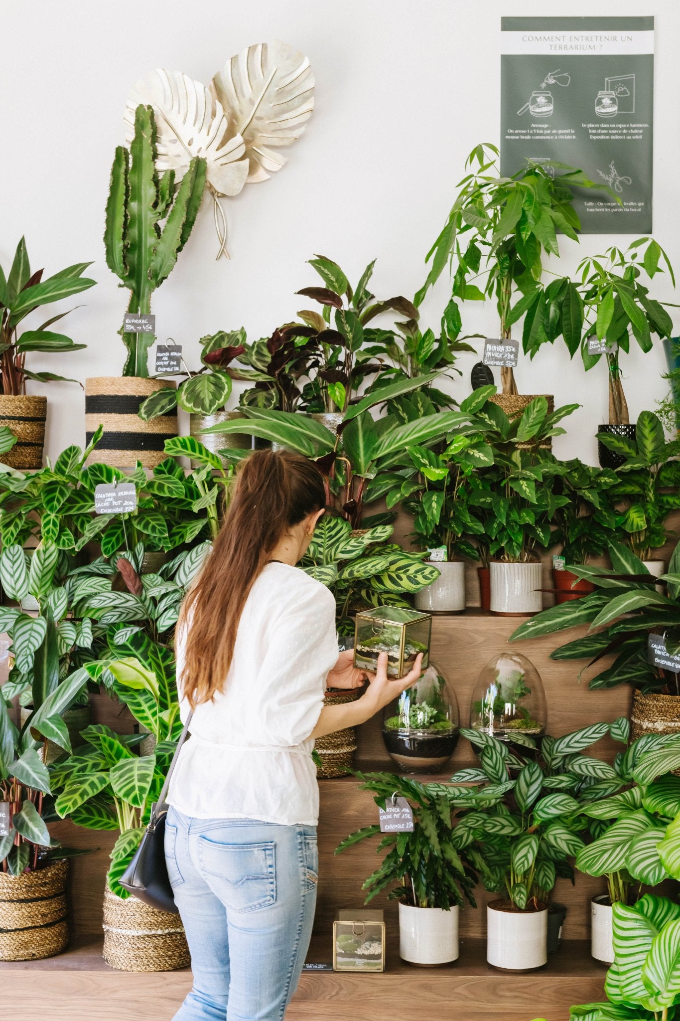 Les 10 conseils pour bien faire pousser sa plante d'intérieur - La Green Touch