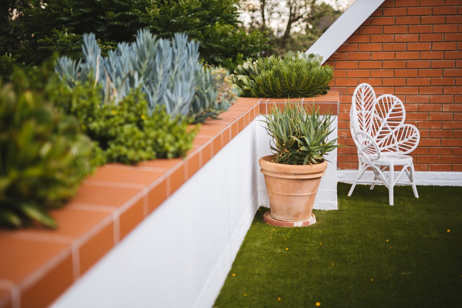 Les Incontournables du Jardin : Plantes d'Extérieur pour Mars, Avril et Mai - La Green Touch