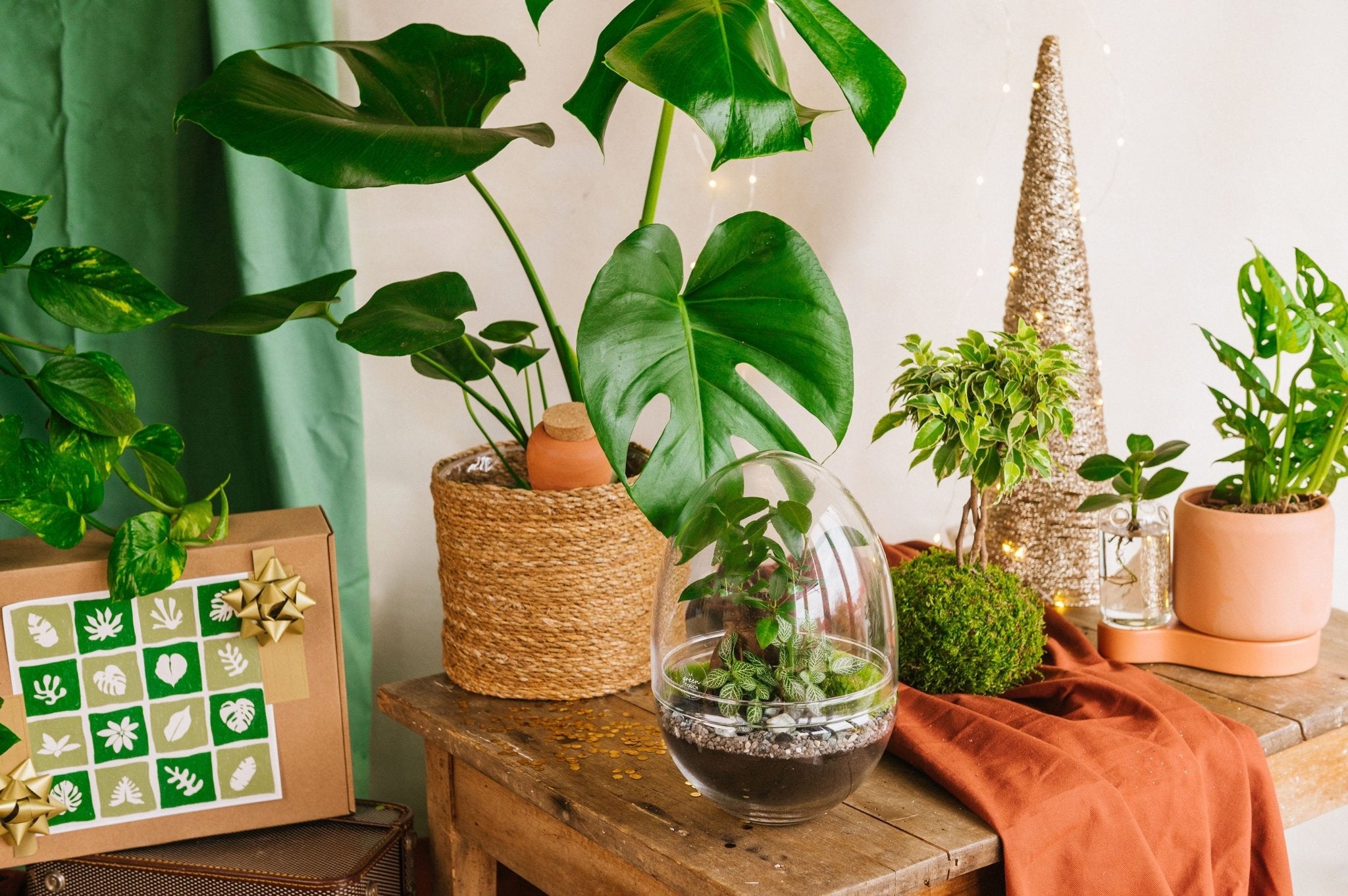 Idées cadeaux – Livraison garantie avant Noël - La Green Touch