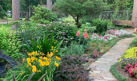 Plantes d'extérieur pour mon jardin - La Green Touch