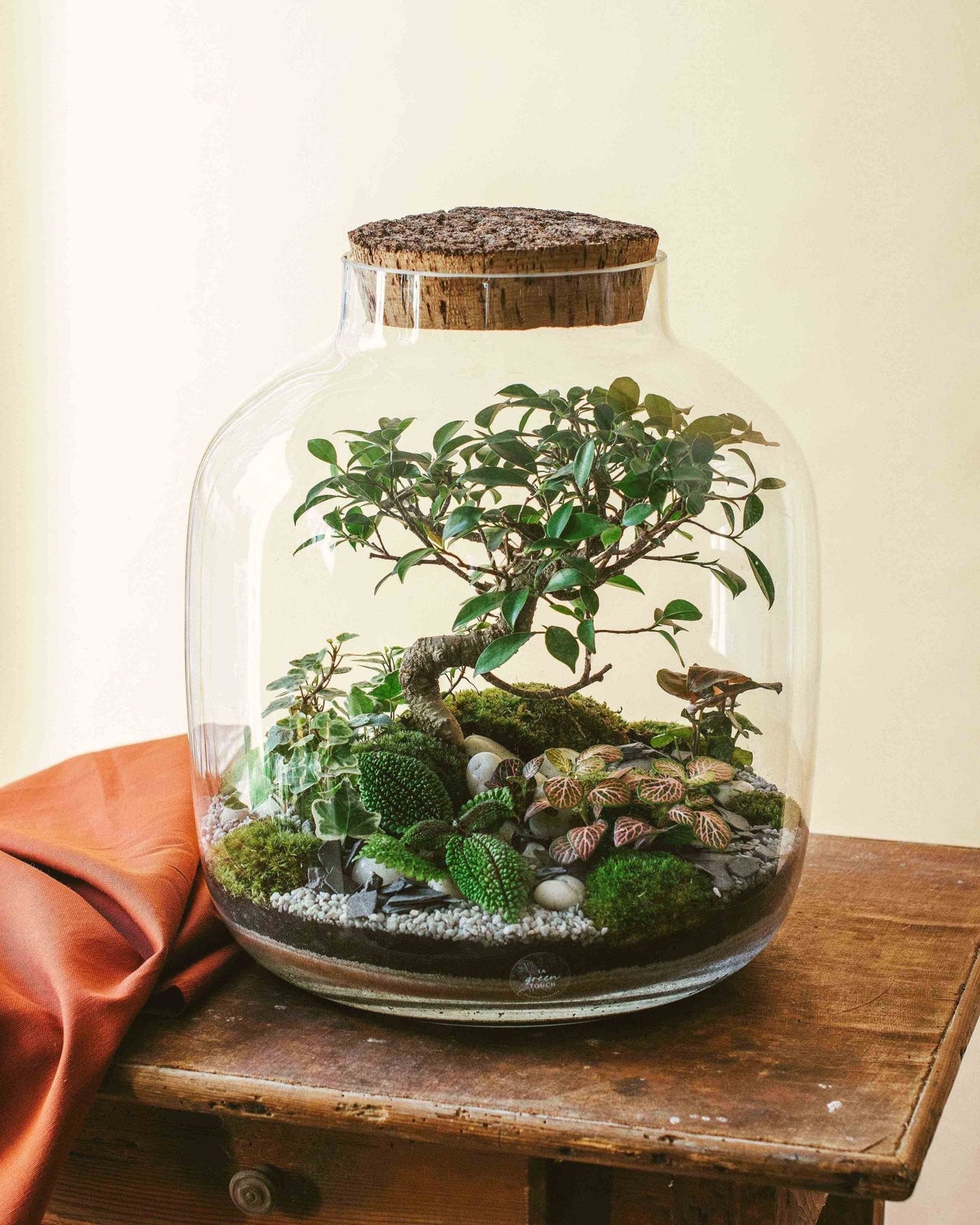 Terrarium d'exception - La Green Touch