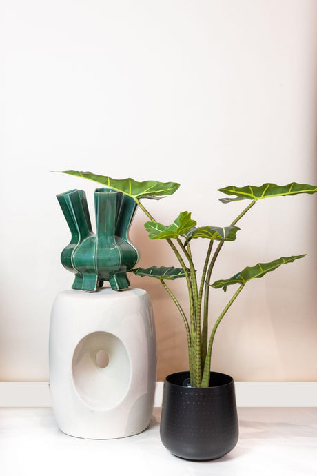 Livraison plante Alocasia artificiel - h80cm, Ø12cm