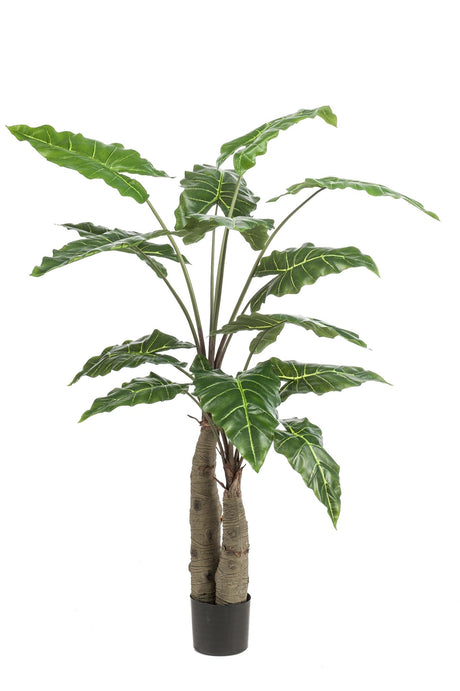 Livraison plante Alocasia plante artificielle - h150cm, Ø12cm