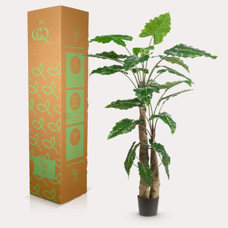 Livraison plante Alocasia plante artificielle - h180cm, Ø15cm