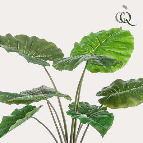 Livraison plante Alocasia plante artificielle - h70cm, Ø12cm