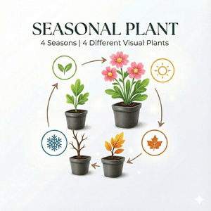 Livraison plante Asaret