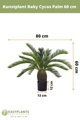 Livraison plante Baby Cycas - Palmier artificiel