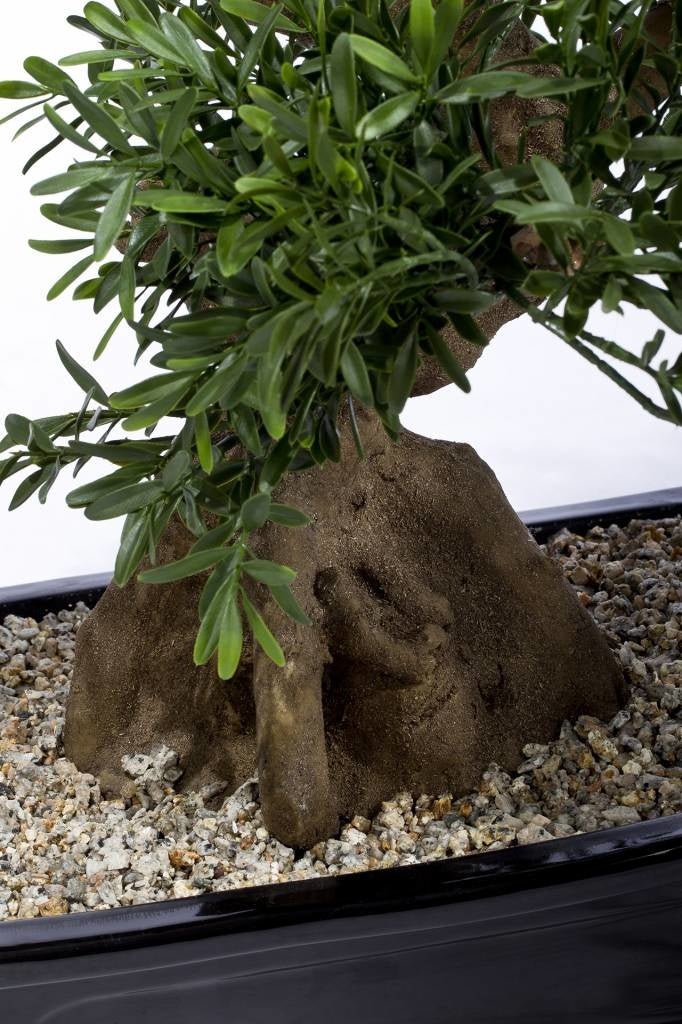 Livraison plante Bonsaï arbre - bonsai artificiel