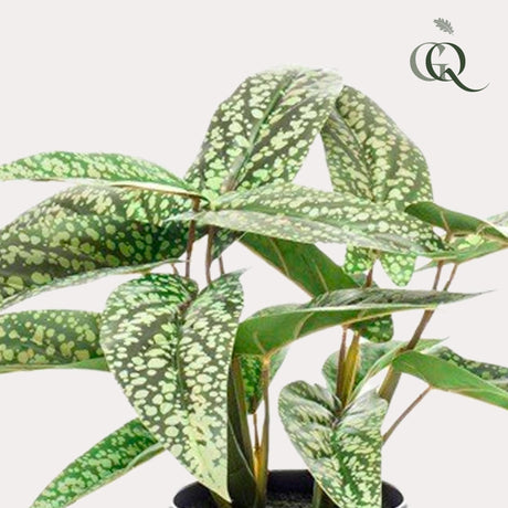 Livraison plante Calathea Dots plante artificielle - h38cm, Ø15cm