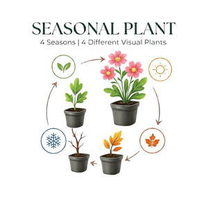 Livraison plante Carex morrowii