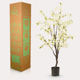 Livraison plante Cerisier artificiel blanc