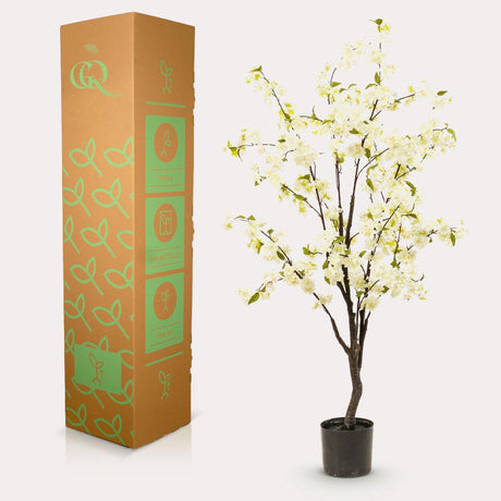 Livraison plante Cerisier artificiel blanc