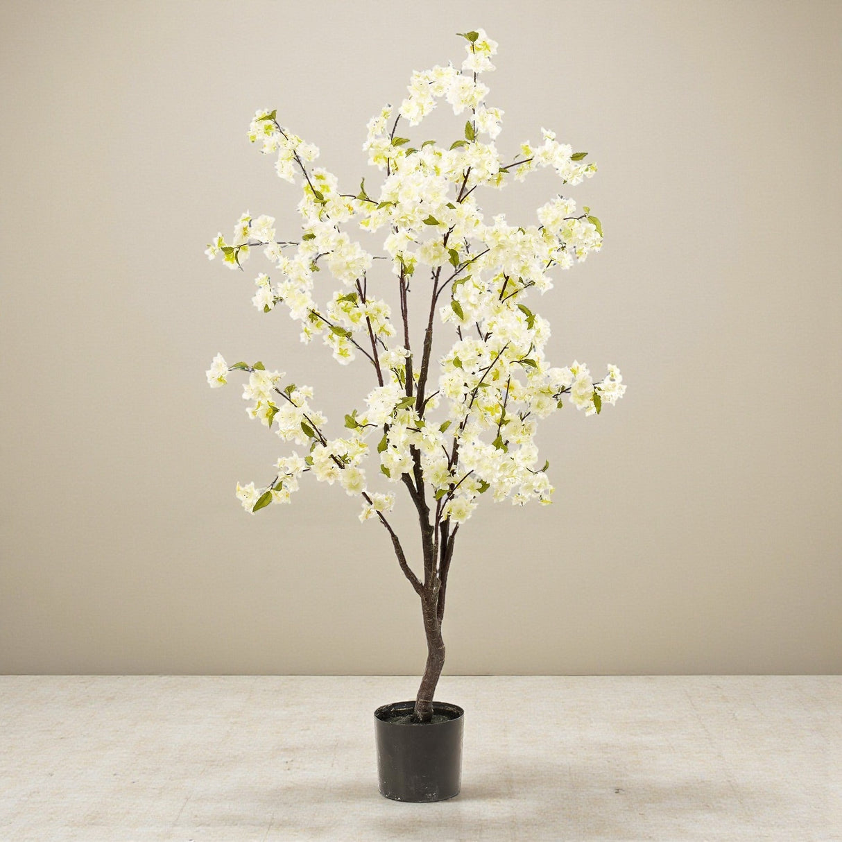 Livraison plante Cerisier artificiel blanc