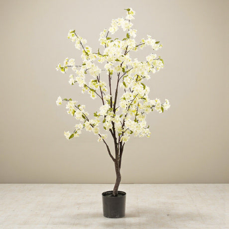 Livraison plante Cerisier artificiel blanc