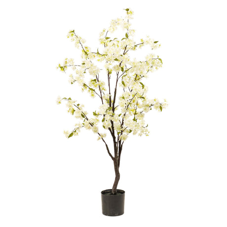 Livraison plante Cerisier artificiel blanc