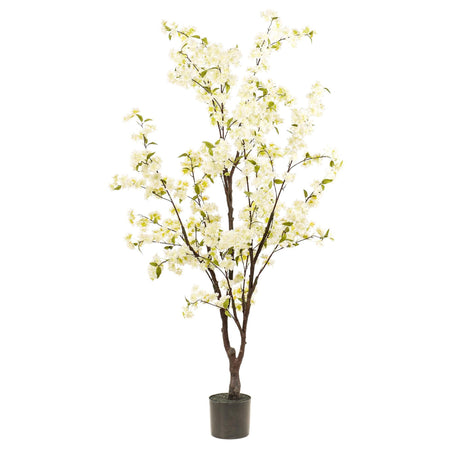 Livraison plante Cerisier blanc h175cm