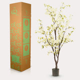 Livraison plante Cerisier blanc h175cm