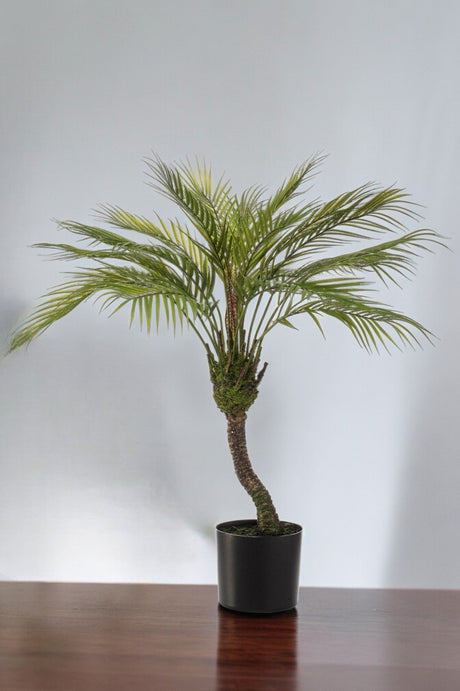 Livraison plante Chamaedorea plante artificielle - h85cm, Ø12cm