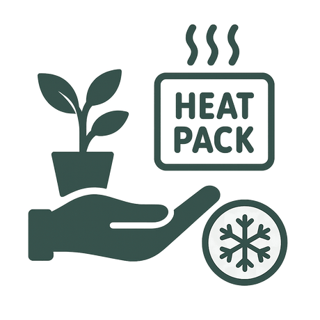 Livraison plante Chaufferette Colibri