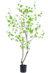 Livraison plante Enkianthus vert - Arbre artificiel