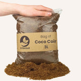Livraison plante Fibre de coco - 3L