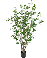 Livraison plante Ficus - Arbre artificiel