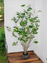 Livraison plante Ficus - Arbre artificiel