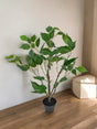 Livraison plante Ficus - grande plante artificielle