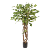 Livraison plante Ficus liane artificiel