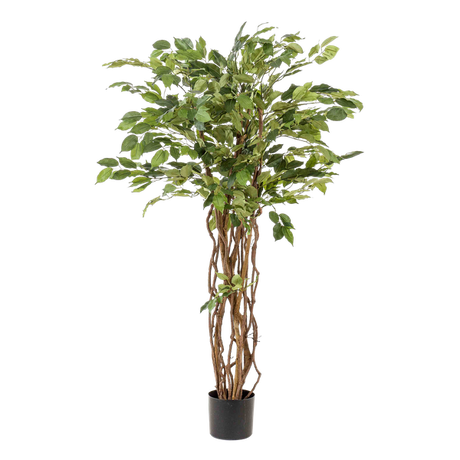 Livraison plante Ficus liane artificiel