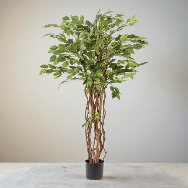 Künstlicher Ficus als Hängepflanze H140cm