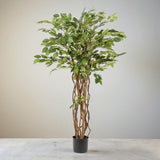 Livraison plante Ficus liane artificiel