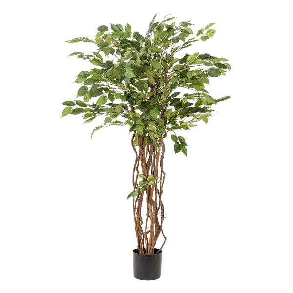 Livraison plante Ficus liane artificiel
