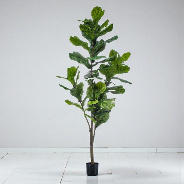 Livraison plante Ficus Lyrata artificiel