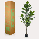 Livraison plante Ficus Lyrata artificiel