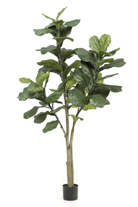 Livraison plante Ficus Lyrata plante artificielle h180cm, Ø17cm